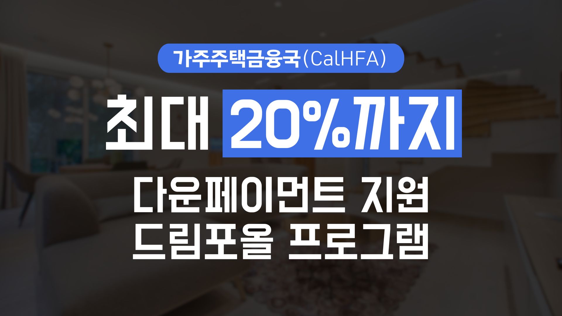 드림포올 프로그램 소개